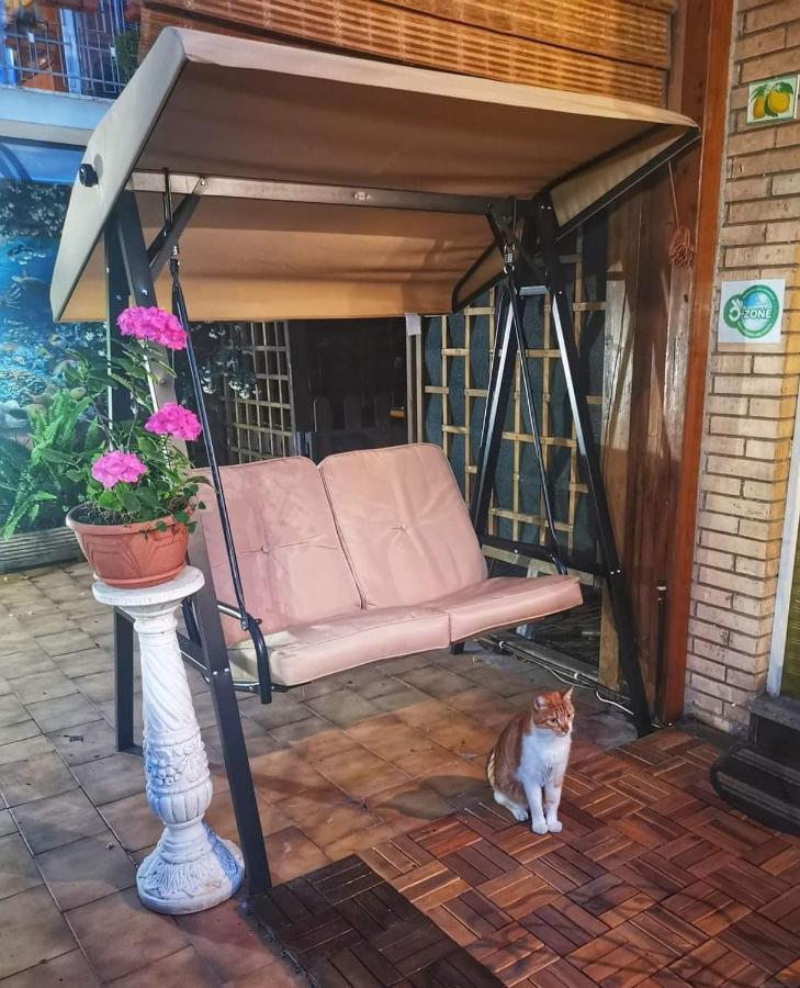 רומא Guest House Il Limone Nascosto מראה חיצוני תמונה